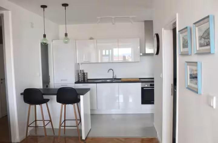 Apartment Newly Renovated Spacious Downtown